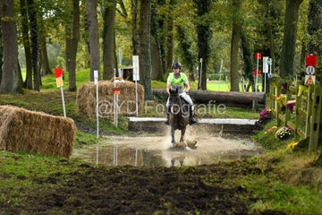 20241019-dsc_7417-standard-m1zfnt.jpg
