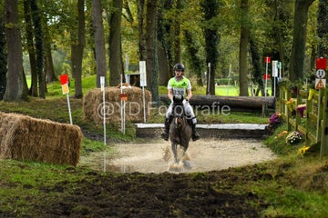 20241019-dsc_7420-standard-1253o1.jpg