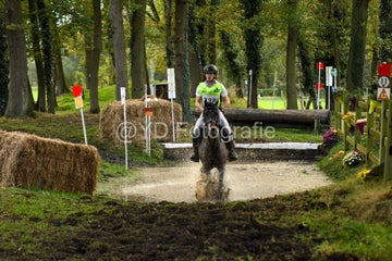 20241019-dsc_7421-standard-4jrdau.jpg