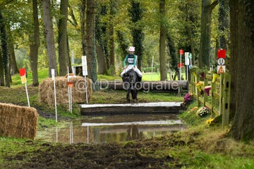20241019-dsc_7442-standard-l4q5tr.jpg