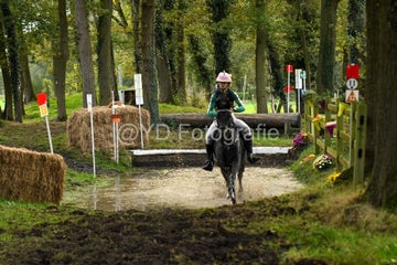 20241019-dsc_7460-standard-ysav4s.jpg