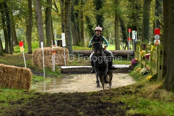 20241019-dsc_7461-standard-tijp5l.jpg