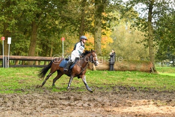 20241019-dsc_7472-standard-qsj2p8.jpg