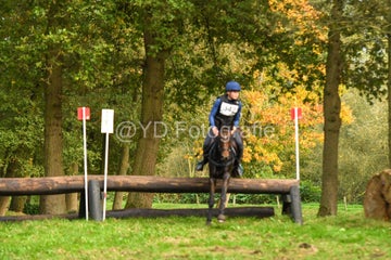 20241019-dsc_7480-standard-ta3d7n.jpg