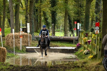 20241019-dsc_7499-standard-bbz60x.jpg