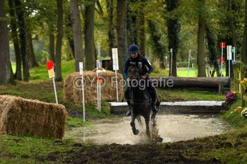 20241019-dsc_7504-standard-mgz2gy.jpg