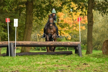 20241019-dsc_7507-standard-b6dwzh.jpg