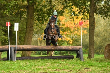 20241019-dsc_7508-standard-yg2hfe.jpg