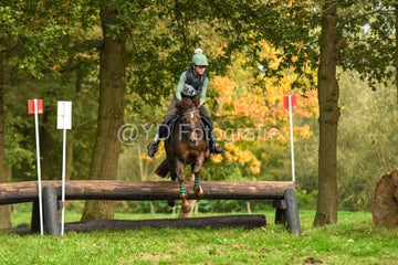 20241019-dsc_7509-standard-6qutrv.jpg