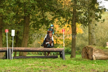 20241019-dsc_7512-standard-gewhsv.jpg