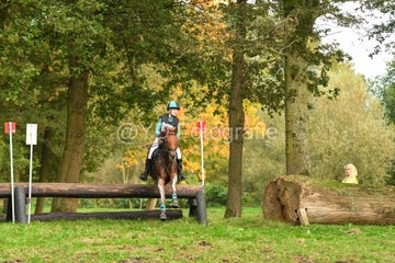 20241019-dsc_7513-standard-ycznj4.jpg