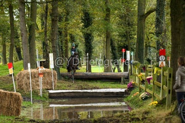 20241019-dsc_7522-standard-dzxg9k.jpg