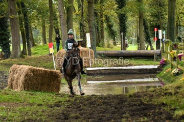 20241019-dsc_7528-standard-qukrrr.jpg