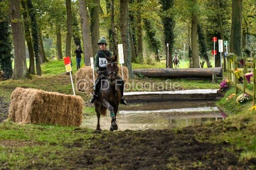 20241019-dsc_7530-standard-ncpmlr.jpg