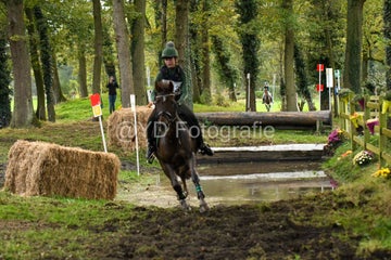 20241019-dsc_7533-standard-a27cd1.jpg