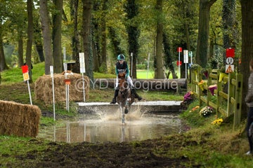 20241019-dsc_7537-standard-8wco6r.jpg