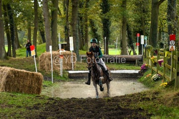20241019-dsc_7542-standard-b91cm1.jpg