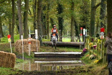 20241019-dsc_7553-standard-siw8ug.jpg