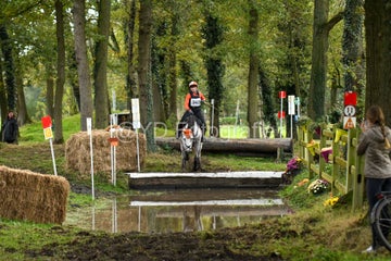 20241019-dsc_7557-standard-j23u4b.jpg