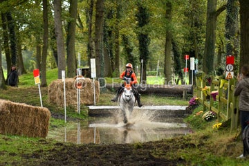 20241019-dsc_7563-standard-b1vp9v.jpg