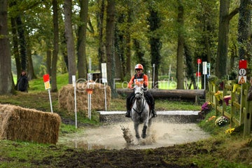 20241019-dsc_7569-standard-c7rnz5.jpg