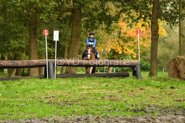 20241019-dsc_7573-standard-ch8evk.jpg