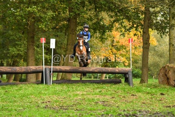 20241019-dsc_7577-standard-3mwdrv.jpg