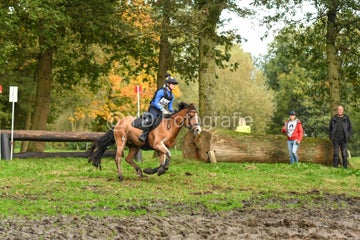 20241019-dsc_7582-standard-dkcmch.jpg