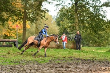 20241019-dsc_7584-standard-p7q49m.jpg