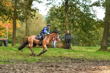 20241019-dsc_7585-standard-vthxvs.jpg