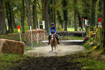 20241019-dsc_7599-standard-wqr6zq.jpg