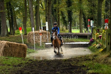 20241019-dsc_7600-standard-fohi85.jpg