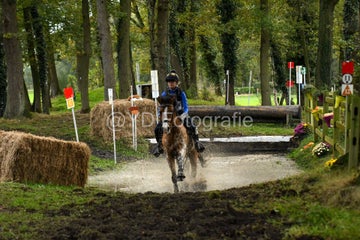 20241019-dsc_7602-standard-te264u.jpg
