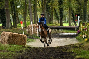 20241019-dsc_7604-standard-8cosxc.jpg