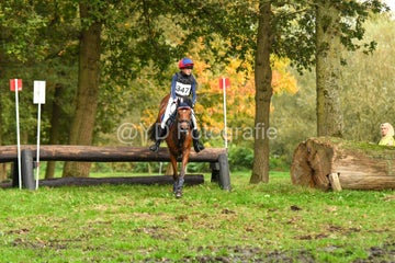 20241019-dsc_7610-standard-u7g37w.jpg