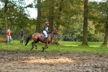 20241019-dsc_7613-standard-ctgvxt.jpg