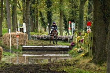 20241019-dsc_7624-standard-mpz16i.jpg