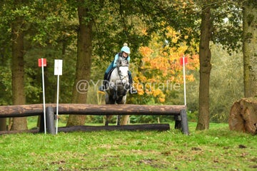 20241019-dsc_7650-standard-idqj8x.jpg