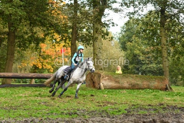 20241019-dsc_7654-standard-t85mw2.jpg