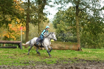20241019-dsc_7656-standard-779dvo.jpg