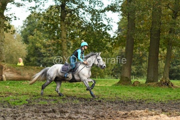 20241019-dsc_7658-standard-a4zonx.jpg