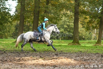 20241019-dsc_7660-standard-5xv0wm.jpg