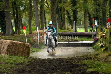20241019-dsc_7678-standard-om70hv.jpg