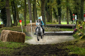 20241019-dsc_7679-standard-gpqe32.jpg
