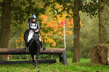 20241019-dsc_7687-standard-pf99dn.jpg