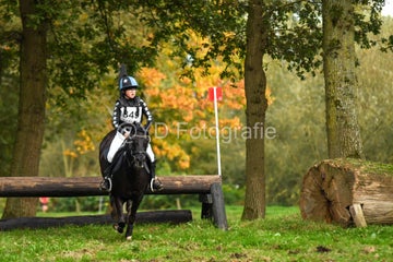 20241019-dsc_7688-standard-um1rwn.jpg