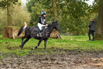20241019-dsc_7695-standard-16bmi8.jpg