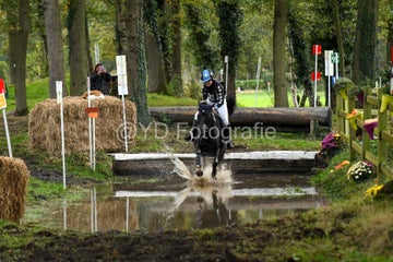 20241019-dsc_7704-standard-b6mor2.jpg