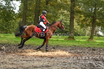 20241019-dsc_7717-standard-5a1w2s.jpg