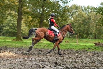 20241019-dsc_7718-standard-f7os2c.jpg